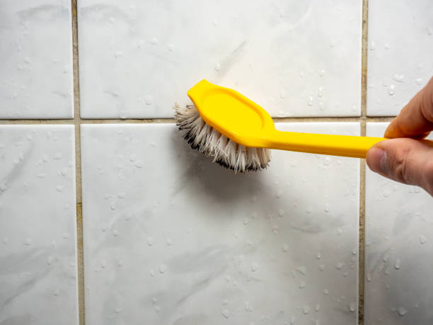 Best Emergency Mold Removal  in Mount Vernon, WA