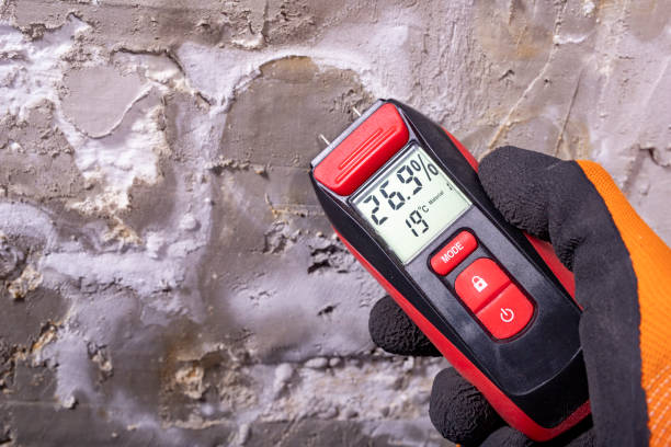 Best Crawl Space Mold Removal  in Mount Vernon, WA