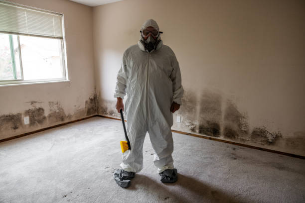 Best Fast Mold Removal  in Mount Vernon, WA